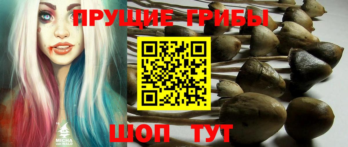 Мелеуз  Псилоцибиновые грибы мицелий  Вход с VPN 